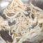 Desk-top QWS-1 Squid Strip Cutting Shredding Machine Meat Pork Beef Shredder