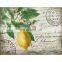 High Quality Unbreakable Safe Tempered Glass Cutting Board Kitchen Board