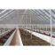 high quality multi-span glass greenhouse with hydroponic system for agriculture price