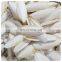 Small Cuttlebone Animal Feed Body Part Vitamins NATURE Bag Packaging Natural White Dried Cuttlefish Bone