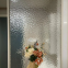 Tempered Patterned Glass Art Textured Shower  Living Room Partition Glass