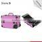 Guangzhou factory OEM professional soft rolling makeup case drawers / makeup trolley case for Artist