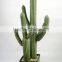 Factory Direct Selling Home Decoration Succulent Plants