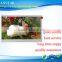7.0 sell tft lcd panel 800*480 40pin long time supply