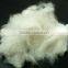 manufacturer for recycled recycled colours polyester fiber