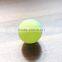 High Quality 2 Stars Standard Table Tennis Balls Colorful Ping Pong Balls