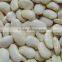 New Crop 45~85 pcs Large White Kidney Beans