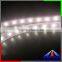 Indoor plants grown lighting SMD led strip 24V, 460nm led light strip 60leds/m