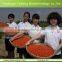 dried goji berry in different size