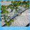 3-6mm Flower Hydroponics Expanded Perlite,Agricultural Perlite