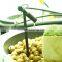 Banana ,folwer, fruits, trees good quality farm drip irrigation systems