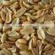 Roast Blanched Peanuts Splits