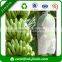 Cheap Banana Growing Bags/Fruit Growing Protection Bags / Nonwoven Packing Bag/Fruit Cover Bag Wholesale Factory Price