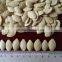 Raw Shin Skin Pumpkin seeds for sale