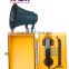 IP 67 Telephone pos system cemetery casket lowering device industrial telephone from Koon