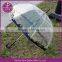 Clear Dome Bubble Umbrella with City Skyline Design