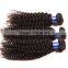 Blonde Peruvian Kinky Curly Virgin Hair 100% Human Hair Deep Wave Tight Curly Hair Extension 3pcs/lot