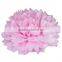 Craft supplies tissue pom poms festival decoration