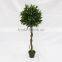 wholesale artficial topiary bay tree