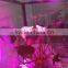 2016 New E27 12w PAR38 led grow light with full spectrum for plant