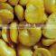 Roasted and Salted Fava Beans