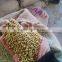 Split Coriander Seeds
