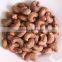 High Efficiency Stainless Steel Cashew Nut Peeling Peeler Machine