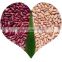 JSX peeling purple speckled kidney bean Highest level export LSKB pinto beans
