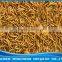 High protein Aquarium fish food--Freeze dried mealworm