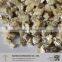 Expanded Vermiculite Growing Medium for Green House