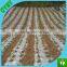 Perforated plastic black agriculture mulch film punch hole