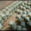 good quality blown silage wrap film, silo film