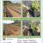 30gsm 50gsm 80gsm 100gsm black small roll non woven used for Gardening weed mat