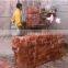 Himalaya rock salt brick