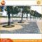 Wholesale Decoration Cheap Price Pebble Wash Stone