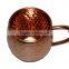 Copper Beer Mug Stainless Steel With a Copper Plated Exterior