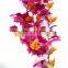 New design ceiling decor plant China supplier hanging flower