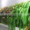 large fern leaf artificial green wall fake grass for outdoor using indoor ornament