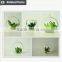 Artificial succulent home decorative tropical plants small manufacturing plant