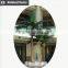 Outdoor palm tree artificial customized design tree