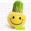 Mini Garden growing grass hair toy growing grass head toys 002-2(ceramic colour glaze)