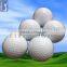 Perfessional miniature Plastic golf ball