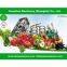 tomato paste prcocessing line