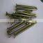 Taiwan Stainless Steel Screw Flat Head Coil Plastic Collated Tornado Concrete Nails