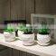 Modern plastic Green Grass Prickly pear Cactus mini faux potted artificial succulent plants artificial with ceramic pot