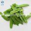 IQF Snow Peas Frozen Pea pods