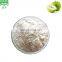100% Natural Green Apple Powder, green apple extract powder