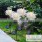 Solar Simple Flower Light Outdoor Waterproof Lawn Garden Lights For Park Coutyard