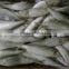 Frozen Sardine from Chinese Manufacture