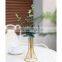 Luxury nordic Metal Geometric flower vase desktop Creative Glass Dried flower vase